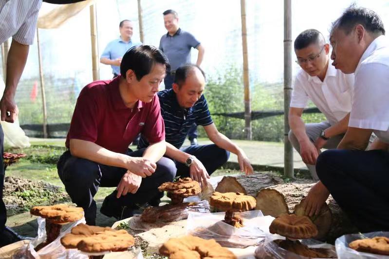 1705042092228213.jpg 1567655885751604.jpg