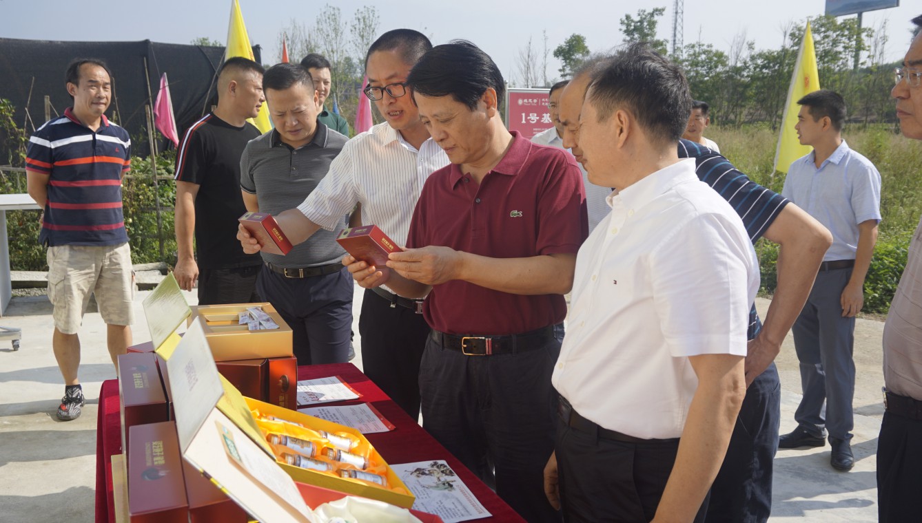 1705042095206681.jpg 1567655819956897.jpg