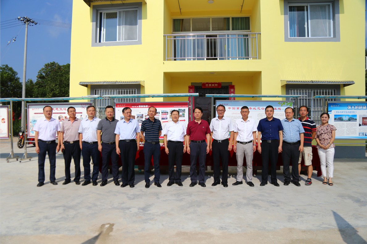 1705042103682641.jpg 1567655855108588.jpg