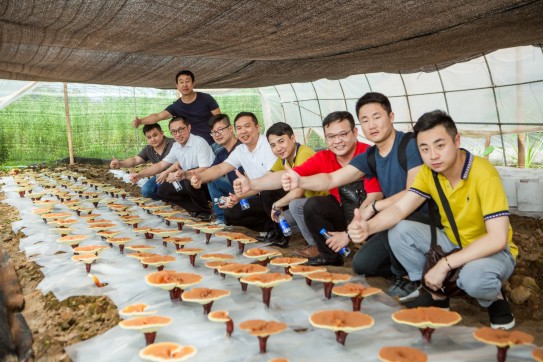 1705042413467219.jpg 1468828672602674.jpg