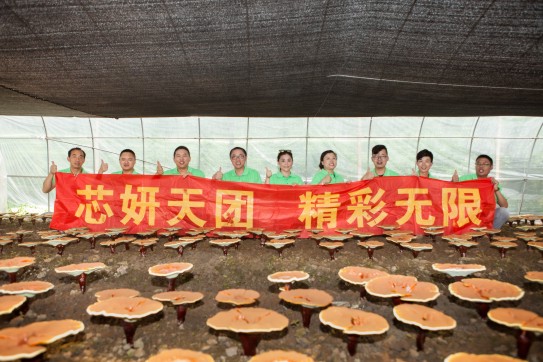 1705042426906595.jpg 1468828729817928.jpg