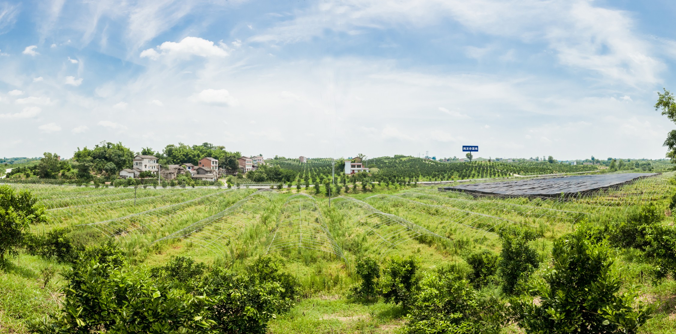 1709521123870614.jpg 微信圖片_20240304105150.jpg