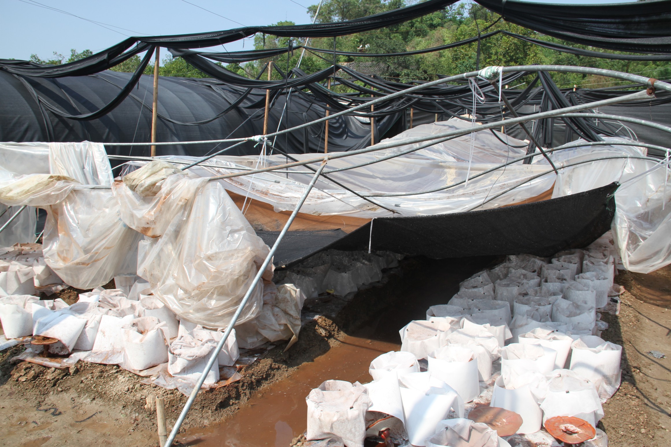 1709523735478262.jpg 1111.jpg