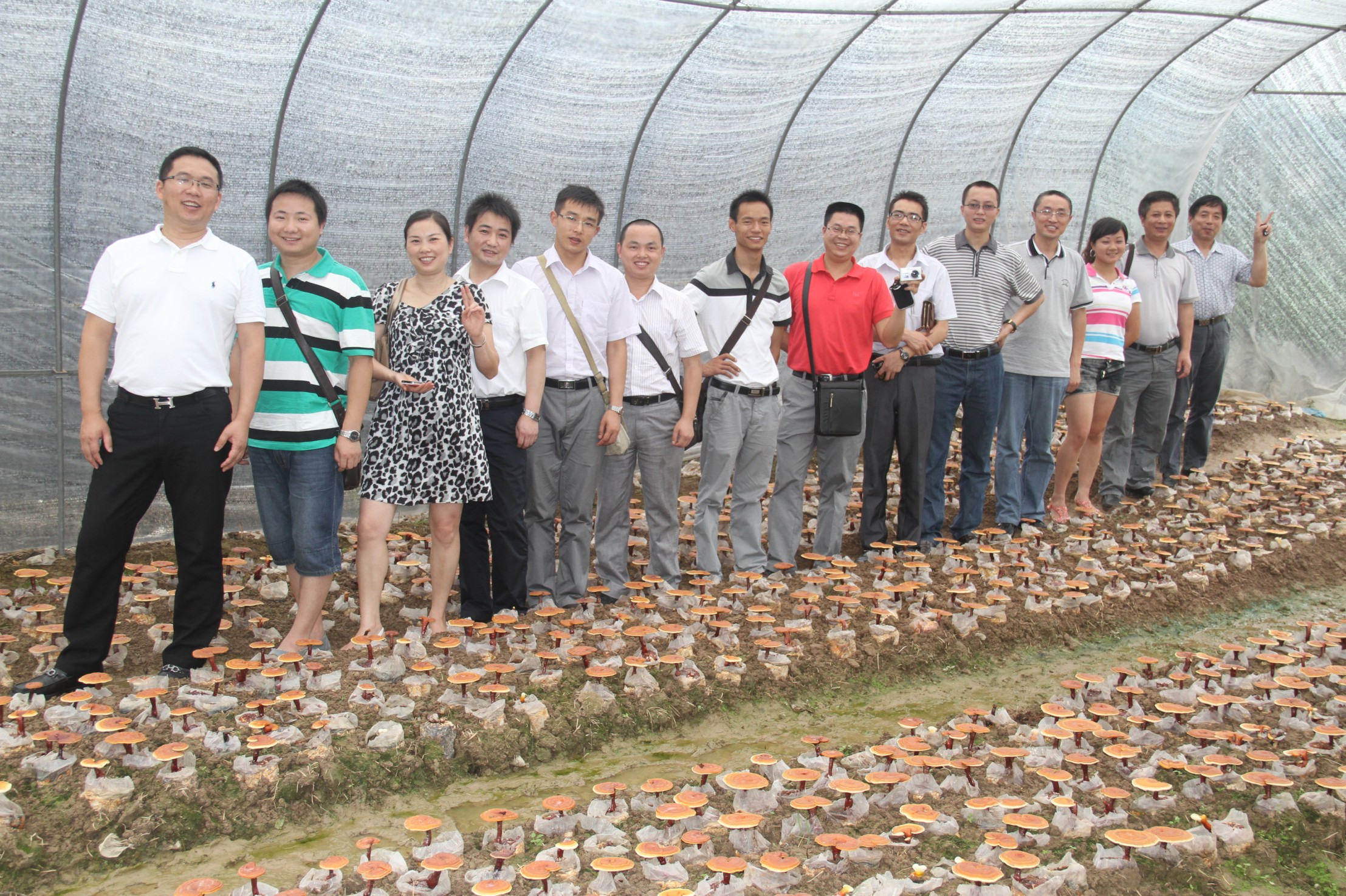 1709523787848756.jpg 圖形2.jpg