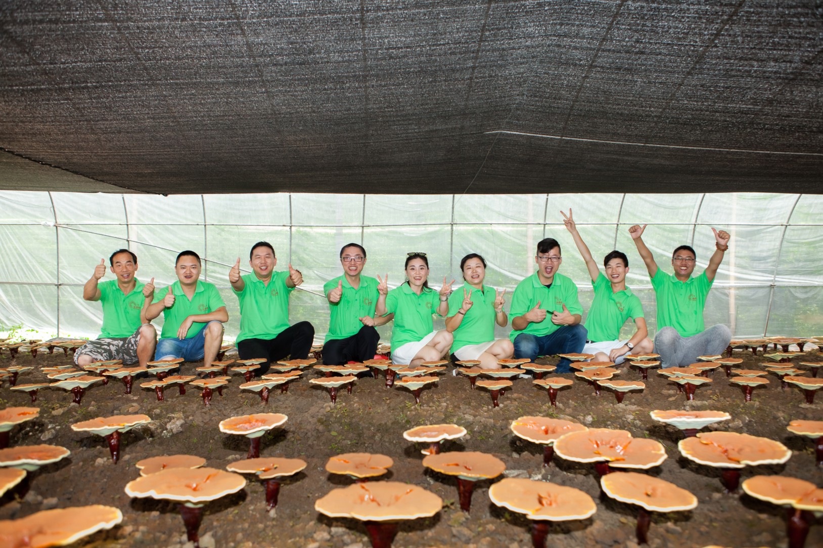 1709523944684375.jpg 圖形2.jpg