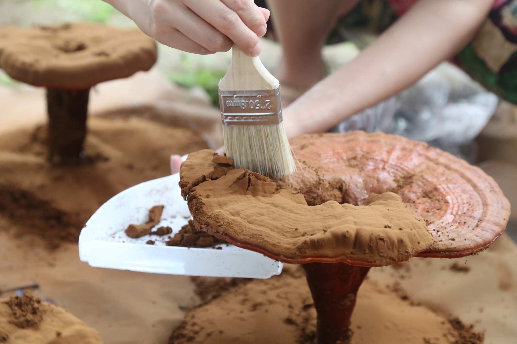 1709524284863837.jpg 圖形2.jpg