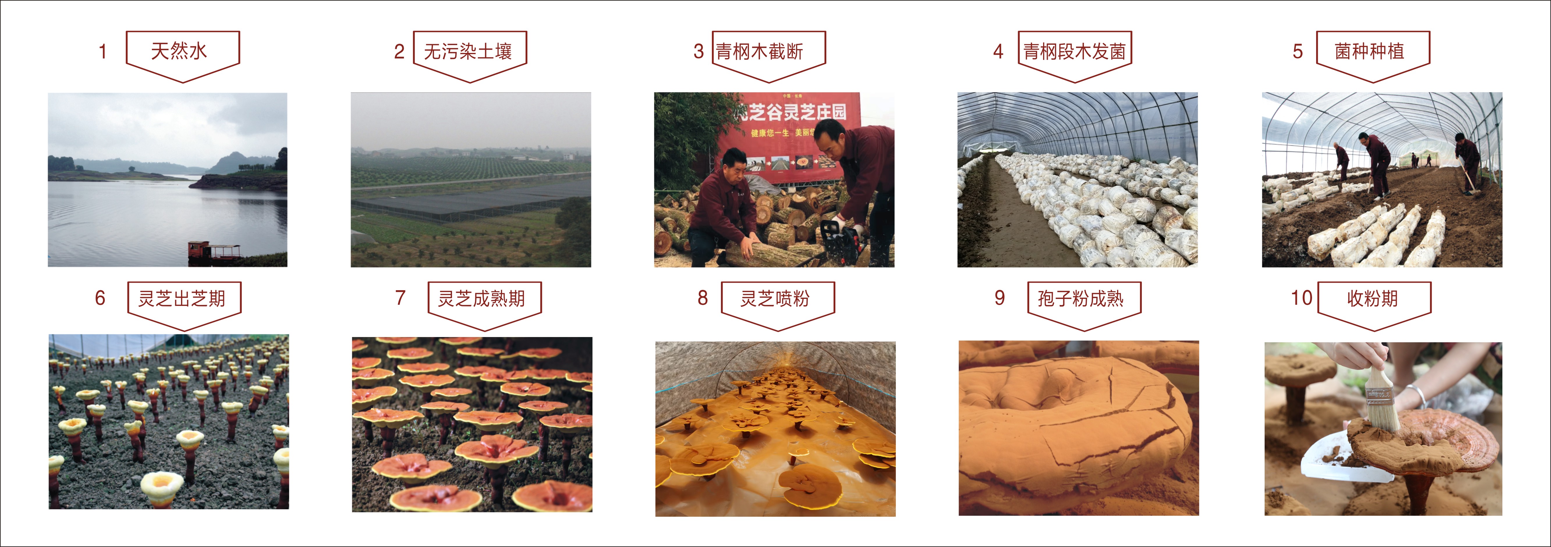 1709600564133855.jpg 梳理博物館 16塊牌牌2 14.jpg